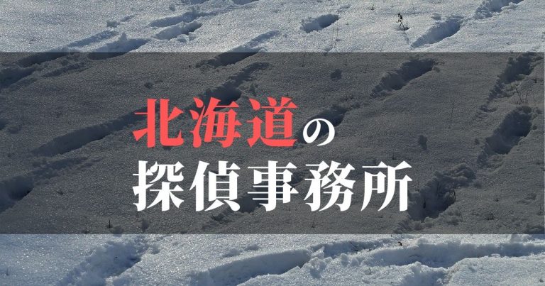 ※【これは仮】北海道で浮気調査を依頼するならここ!おすすめ探偵事務所の費用・相場と申込の流れは?!