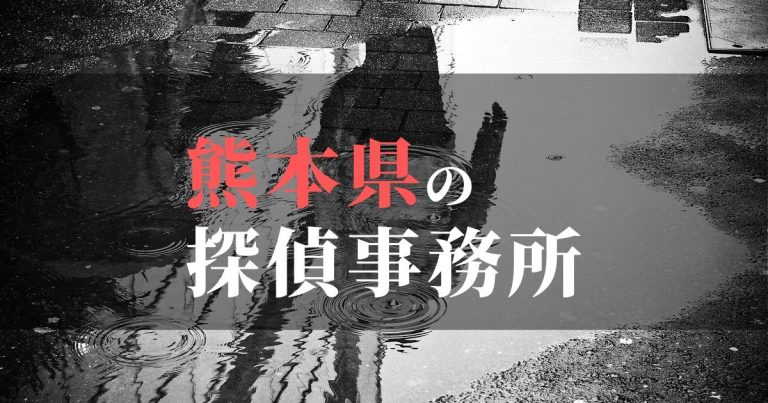 熊本県で浮気調査を依頼するならここ！おすすめ探偵事務所の費用・相場と申込の流れは？！